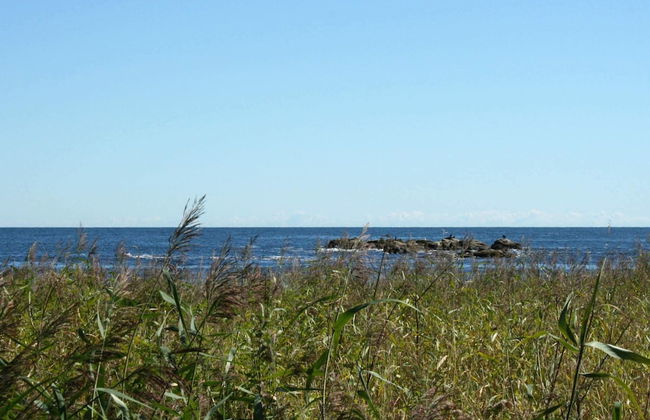 4 Person Holiday Home in Svaneke - Foto 12