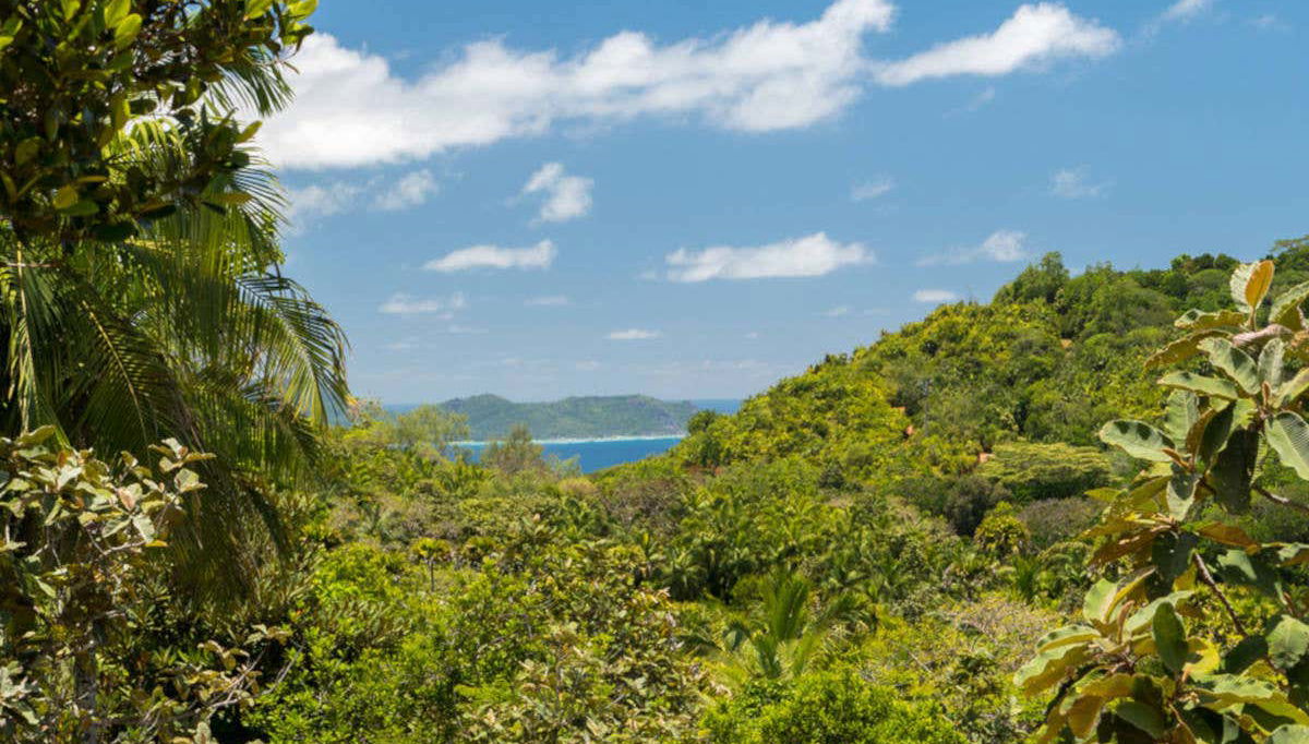 Reserva Natural do Vallée de Mai