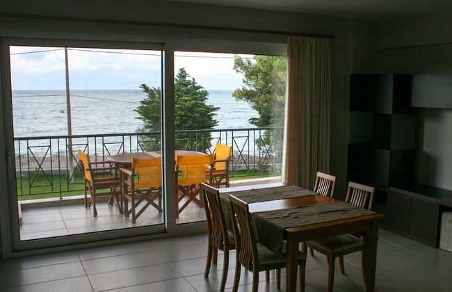 Punda 4 Seasons - Foto 23