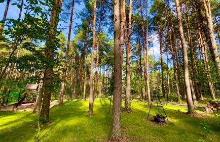 Domek na Jurze - Foto 13