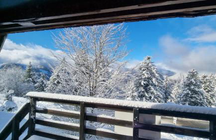 Chalet des Edelweiss, Guzet - Foto 18