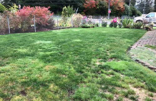 Cozy Forks getaway house - Foto 5