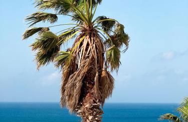 Bungalow Ahul Famara con pequeña piscina - Foto 26