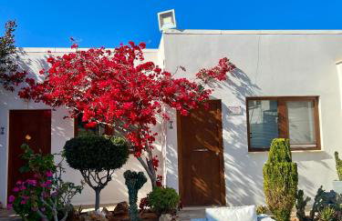 Kali Holiday Apartments - Foto 35