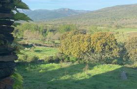 EL CUENTO DE LA ENCINA. Un espacio para sentir - Foto 13