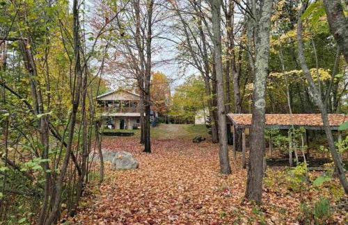 Lake Willow Lakefront House! Northwoods Retreat! - Foto 45