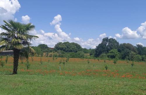 Gîte Talia - Foto 22