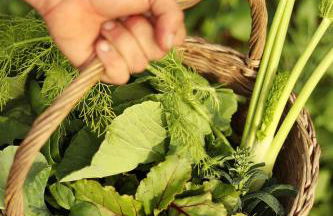 Areias do Seixo Villas - Foto 75