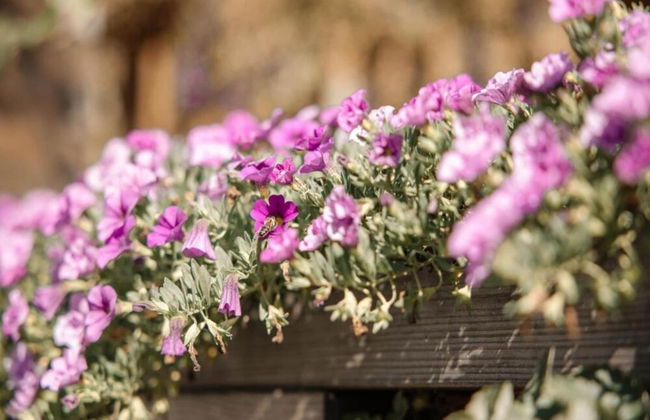 Essen Apartment Retreat - Foto 34