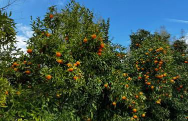 Quinta Pura Natura - Foto 56