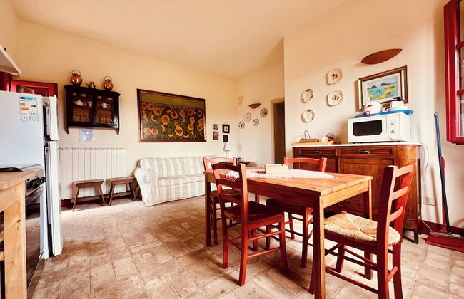 Fattoria Podere i Luoghi - Foto 37