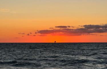 Ostseeblick - Foto 33