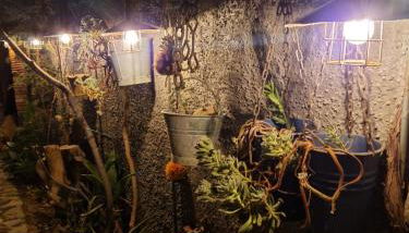 Casa Olive - Foto 3, Garden