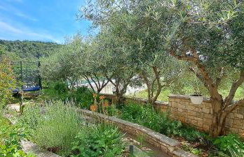 Apartments DARIJA & PERO - Foto 72