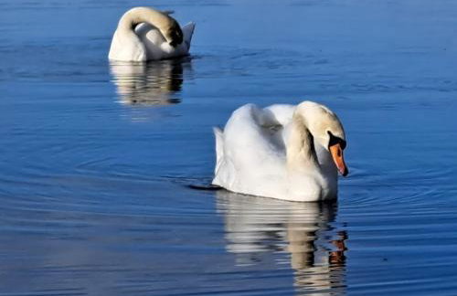 u Ewy apartament z balkonem dla 3 osób 2pokojesamodzielne zameldowanie, kody w wiadomości przed przyjazdem - Foto 17