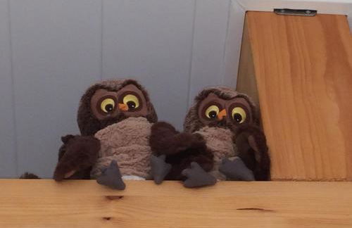 Alte Heimat - Foto 25