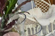 Green Home - Foto 19