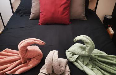 Appartement chaleureux proche Disney 44m2 pour 4 pers classé 3 étoiles - Foto 7