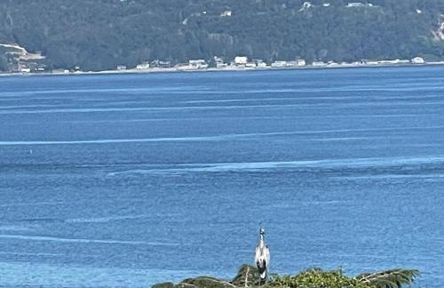 Beautiful Puget Sound Waterfront Villa - Foto 22