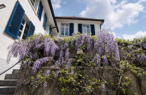 Exklusive LOFT-Wohnung, nur 30 Min von Zürich - Foto 23