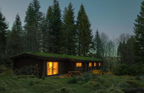 Our Log House in the woods - Photo 22