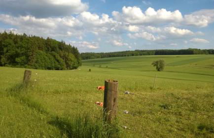 Apartment Haus Maria Waldblick - Foto 63