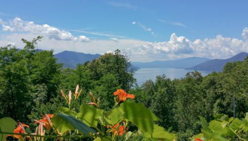 Residenza sul Lago Maggiore - Foto 4