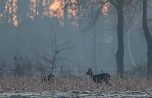 Das Strandhaus, bis zu 8 Personen, mit Garten, 250 Meter fussläufig zum See - Foto 46