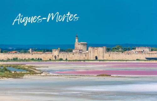 En Automne- Visitez la Provence- Villa 3 chambres-6 personnes- jardin & piscine - Foto 73