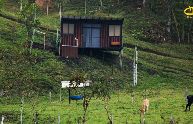 Hotel Selva Negra - Photo 8