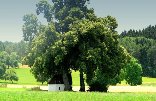 Holiday Apartment Chapel - Foto 15