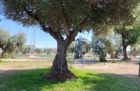 Hostal Restaurante San Martin de Montalban - Foto 70