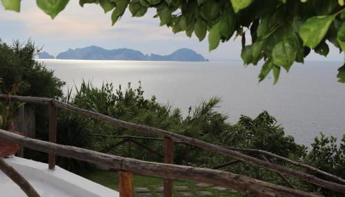 casavictoria - Foto 4