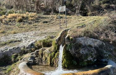 Alojamientos La Tercia - Foto 30