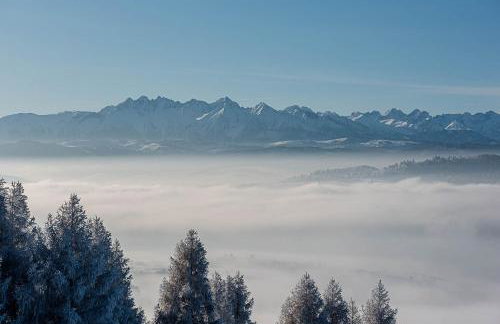 Willa Pienińska - Foto 50