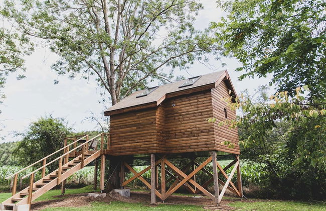 Romantic Woodland Chalet - Photo 29
