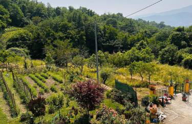 Sole di Bagnone - Photo 25