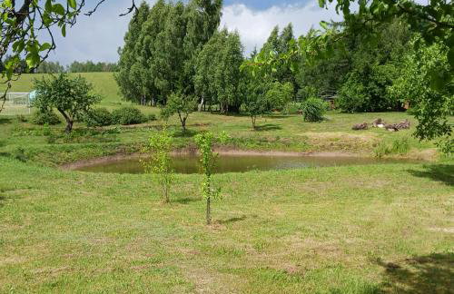 Agroturystyka Pod Dębem - Foto 42