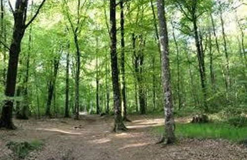 Les cottages du golf - Foto 41