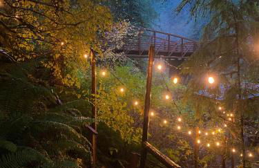 Mt Pilchuck River Cabin - Foto 23