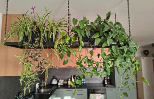 Apartament Rutkiewicz - Foto 16