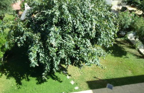 Dimar1 Seaside Apartment - Foto 32