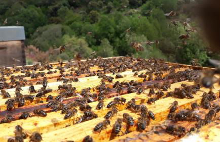 Apimonte City House A - Foto 50