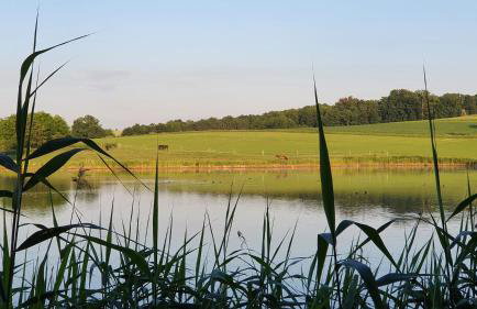Nasz Dębowiec - dom dla 15 osób, sauna, widok na staw, wielka działka - Photo 56