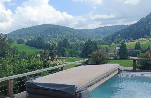 Chalet Bois le Havre du sotrè Gérardmer Sauna panoramique jacuzzi 14 personnes et 1 bébé - Photo 5