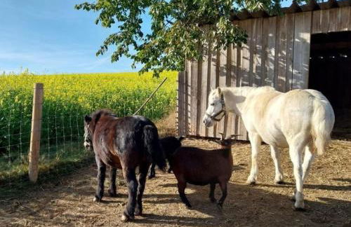 Gschwandnerhof - Foto 26