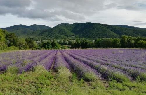 La villa des pins - Foto 14