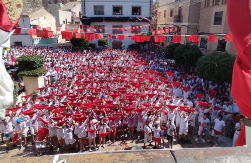 La Manguita Bardenas - Foto 18