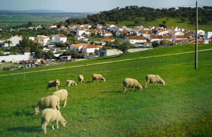 Casa da Tita - Foto 25