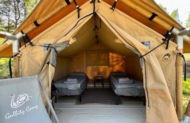 Gulbity Camp - Foto 35